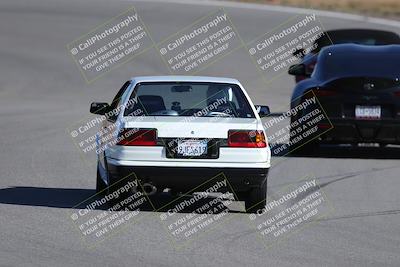 media/Nov-19-2023-Extreme Speed (Sun) [[bd0eec5490]]/Purple/Back Shots/